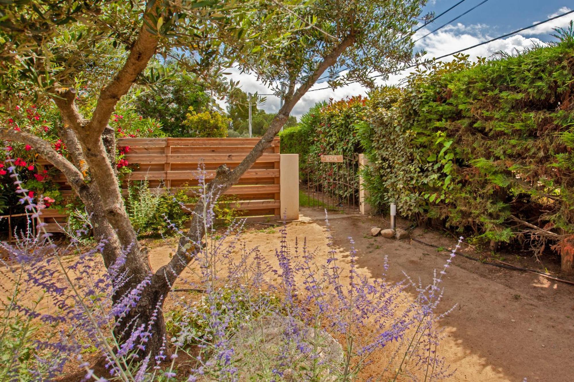 Residence Acquavital Calvi  Exterior photo